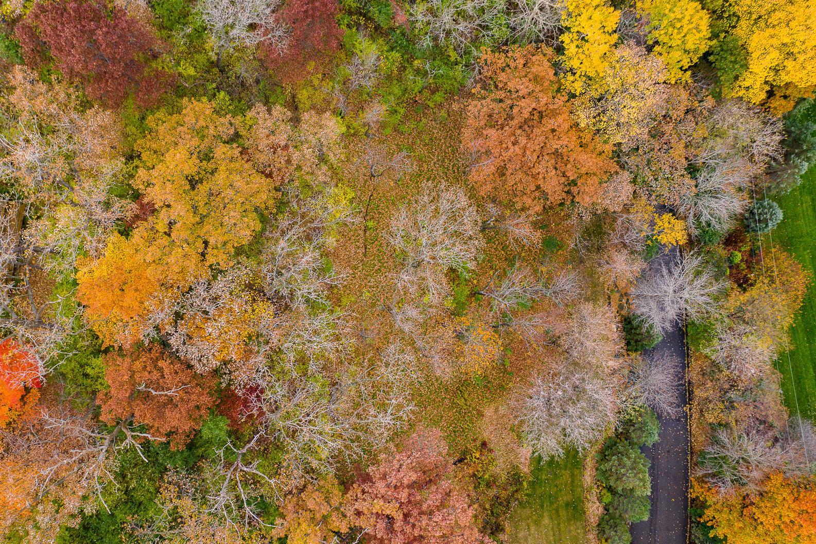 7106-Valley-View-Rd-Aerial-019
