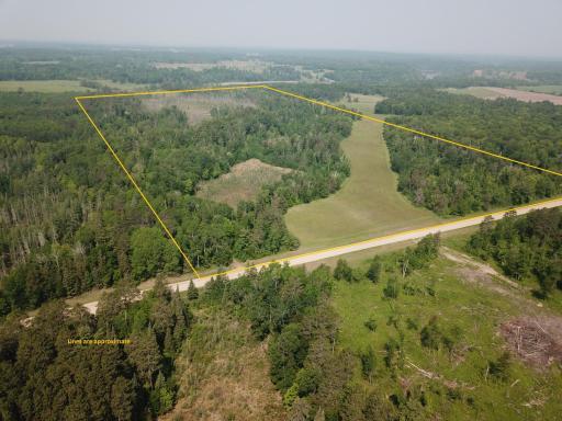 31519 243rd Avenue, Shevlin, MN 56676