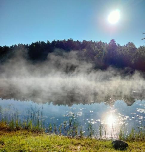 14185 Shoreline Trail, Bagley, MN 56621