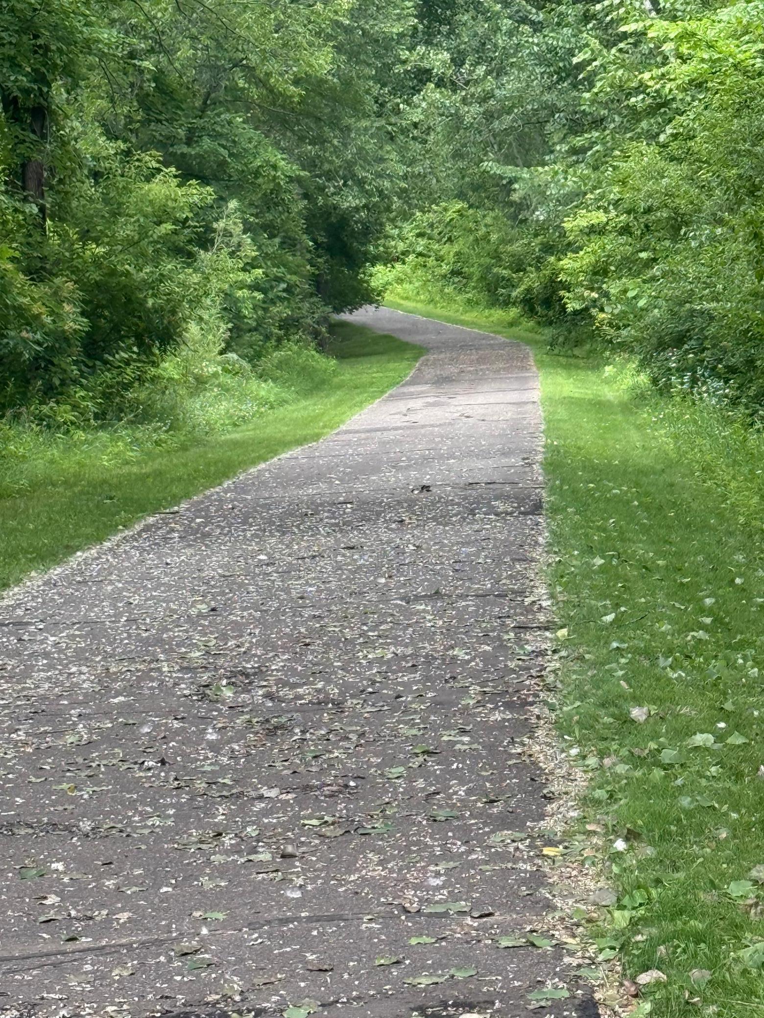 public walking trail