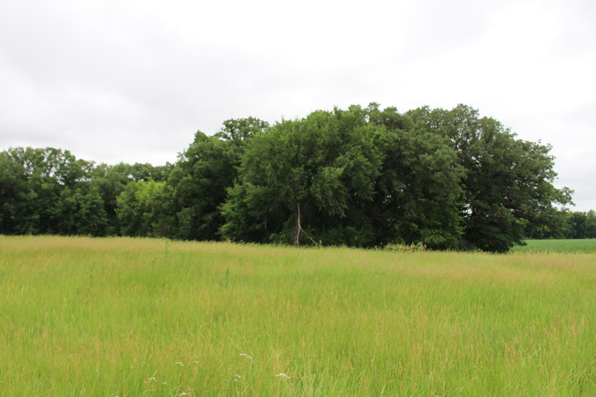 Meadows, hardwoods and superior river frontage