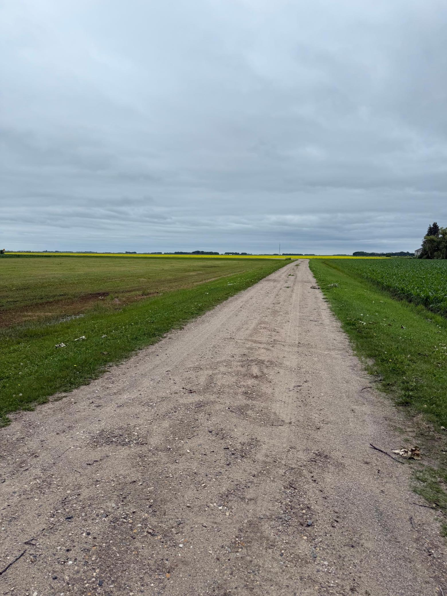 Private 500+ feet road dead ends for complete privacy!