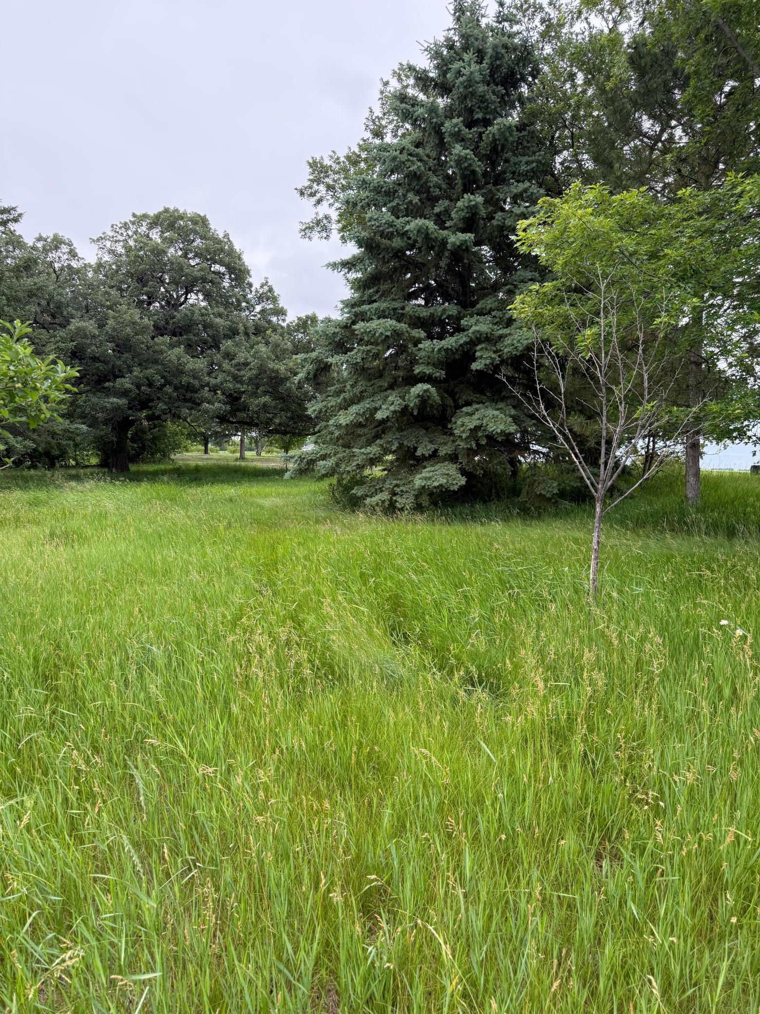 Take a tour for yourself! You will love this property!