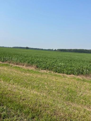 000 Center Street E, Thief River Falls, MN 56701