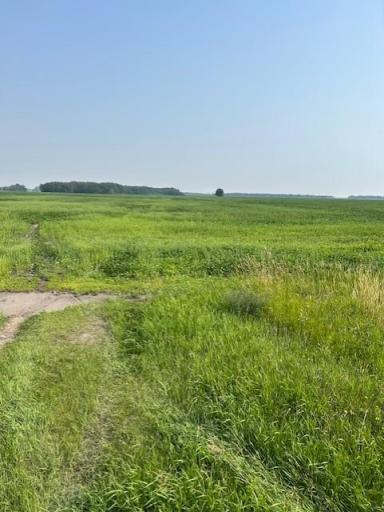 000 Center Street E, Thief River Falls, MN 56701