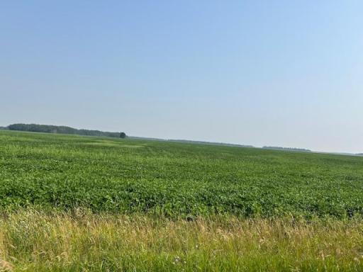 000 Center Street E, Thief River Falls, MN 56701