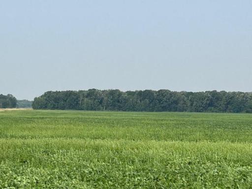 000 Center Street E, Thief River Falls, MN 56701