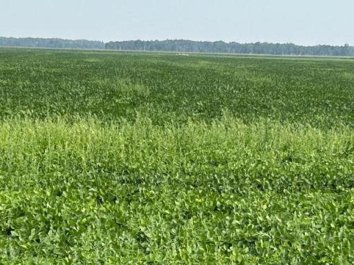 000 Center Street E, Thief River Falls, MN 56701