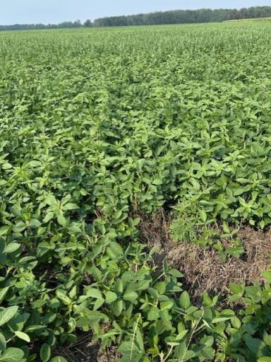 000 Center Street E, Thief River Falls, MN 56701