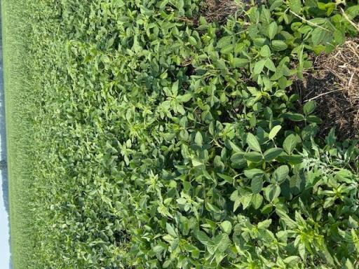 000 Center Street E, Thief River Falls, MN 56701