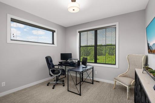 This 3rd bedroom on the main level is across from the 2nd private suite and can be used as a bedroom (has a closet) or home office.
