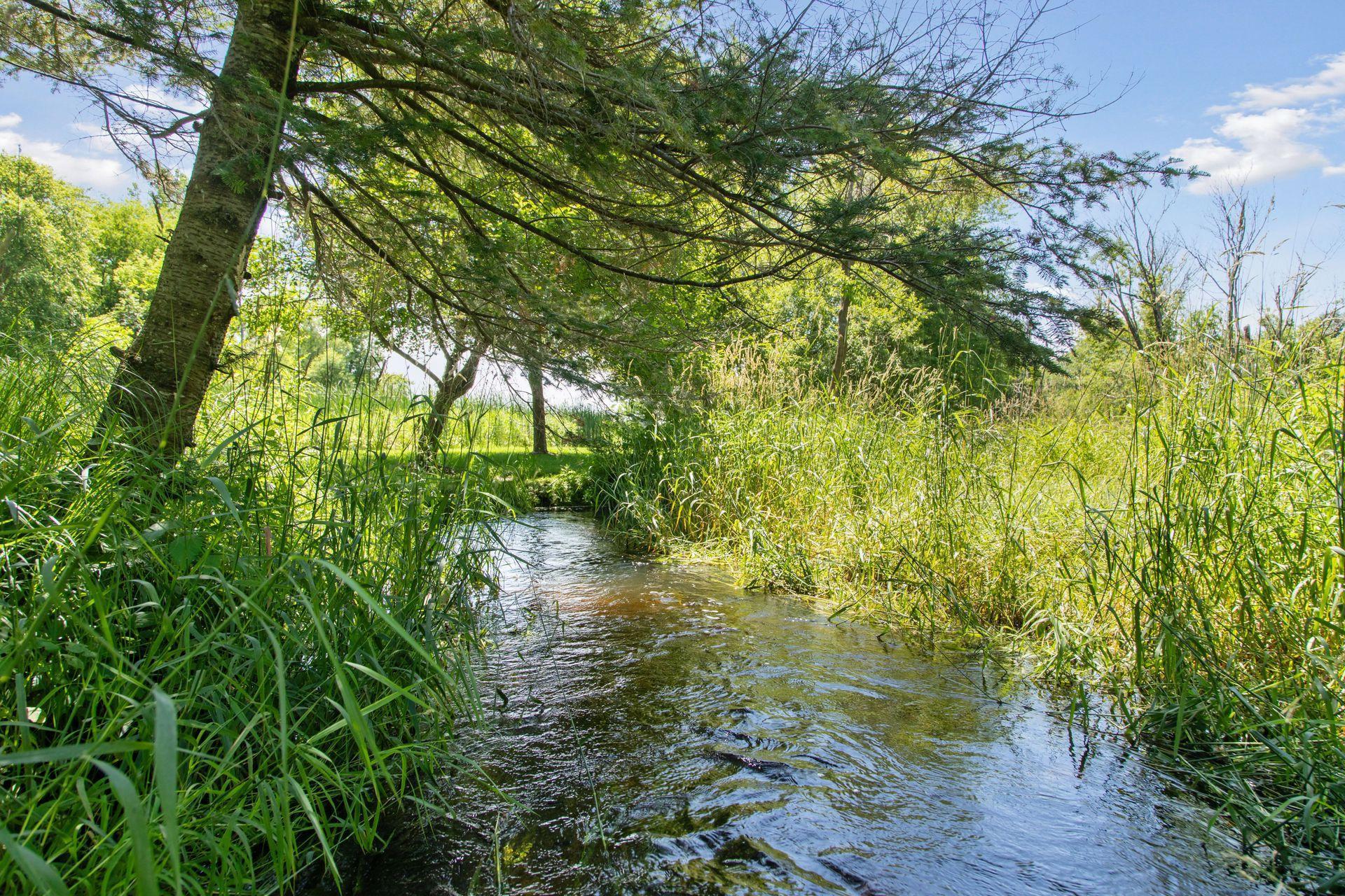 Creek with bridge to cross on property