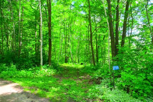 27589 Norway Trail, Randall, MN 56475