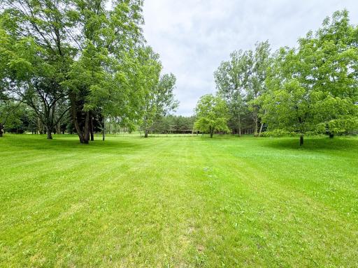 Underwood, MN 56586