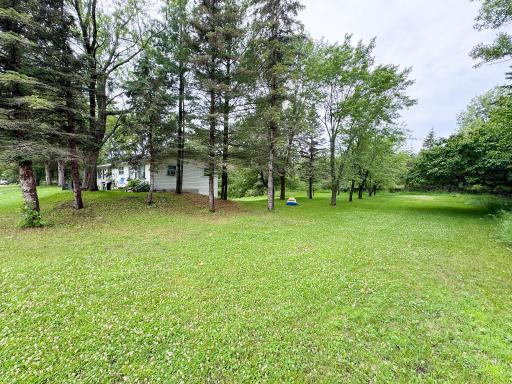 Underwood, MN 56586