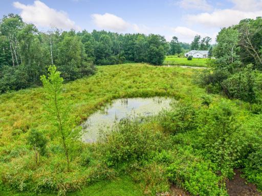 A picturesque pond located just beyond to detached garage is a guaranteed wildlife hang out spot!