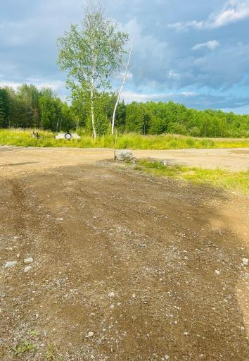 TBD #29 Lake Avenue, Tower, MN 55790