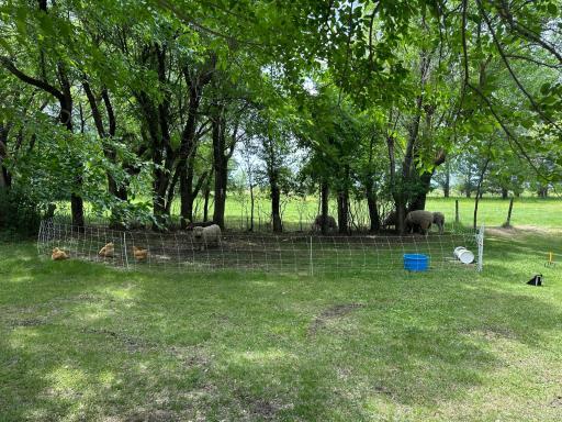 3796 300th Street, Lake Bronson, MN 56734
