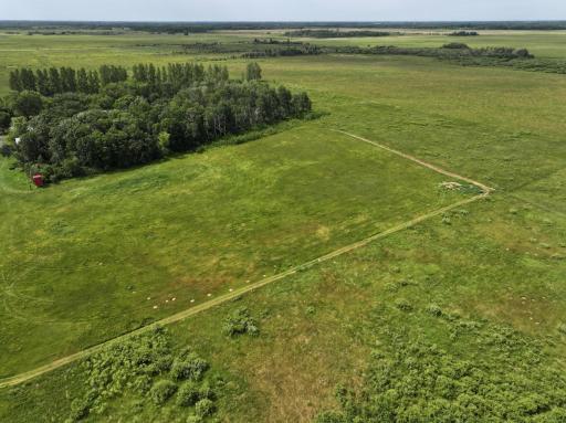 3796 300th Street, Lake Bronson, MN 56734