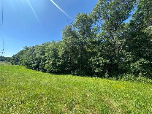 TBD Co Rd 11, Crosslake, MN 56442