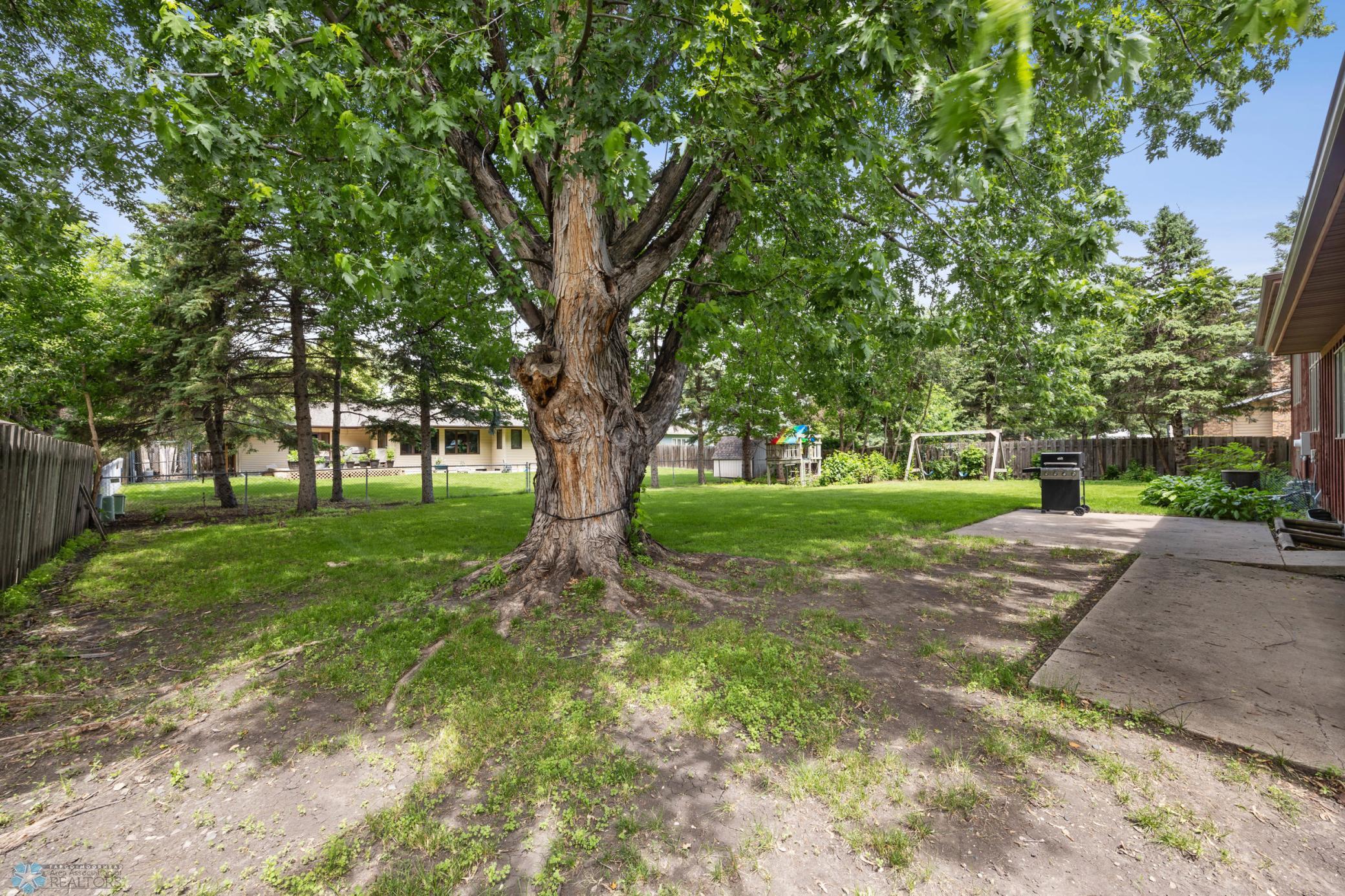 Backyard.jpg