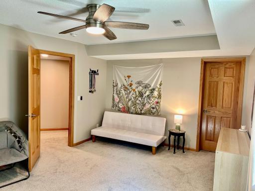 Another view of the lower level 3rd bedroom (photo courtesy of the sellers). This room offers a 6.5x5.6 walk-in closet. There is also an adjacent, finished closet (in the hallway, under the stairs) for additional storage.