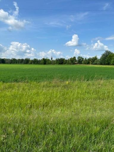 TBD Sorteberg Drive, Thief River Falls, MN 56701
