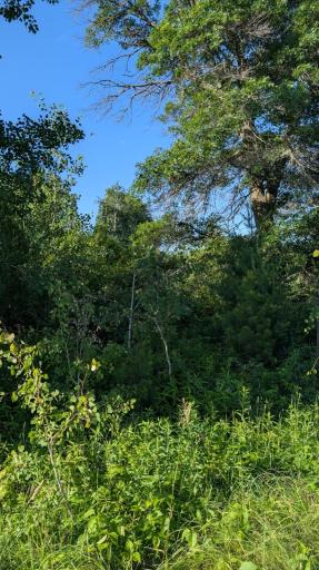 TBD 60th Street SW, Pequot Lakes, MN 56472