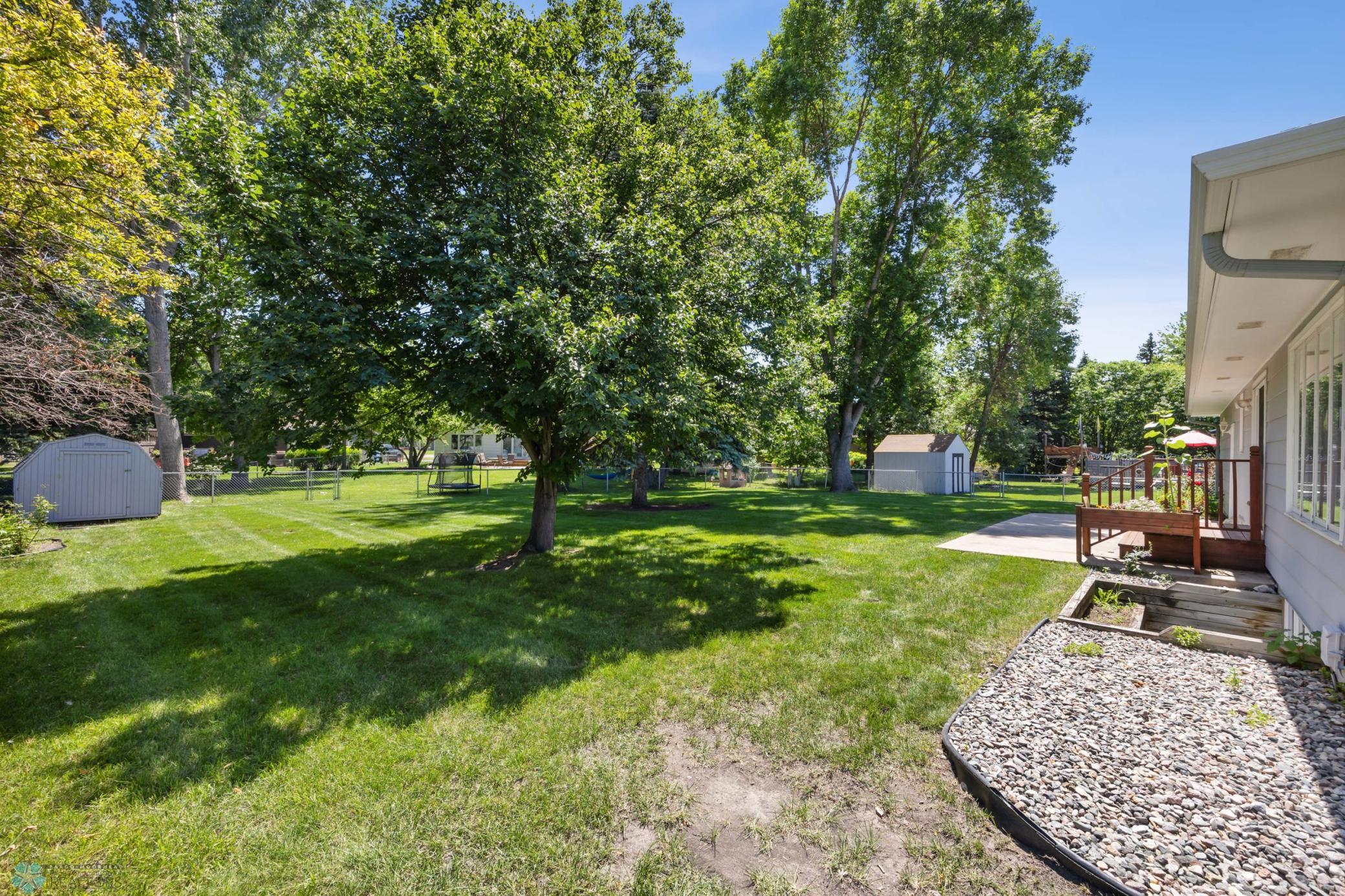 Backyard - lovely trees