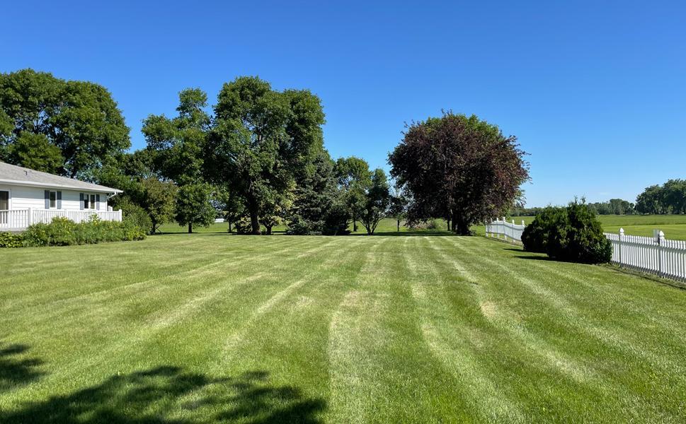 47 Backyard3.jpg