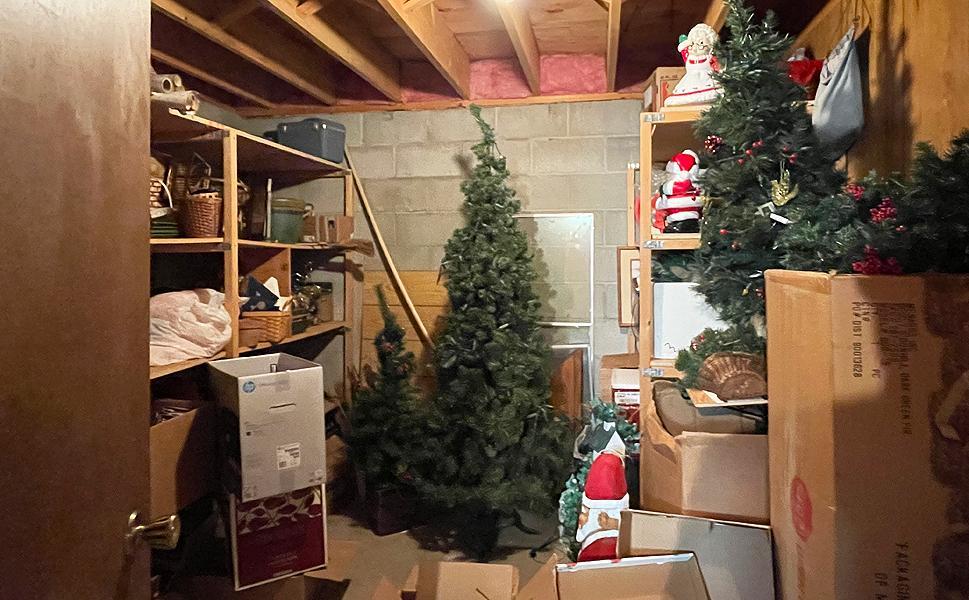 38 BasementStorage.jpg