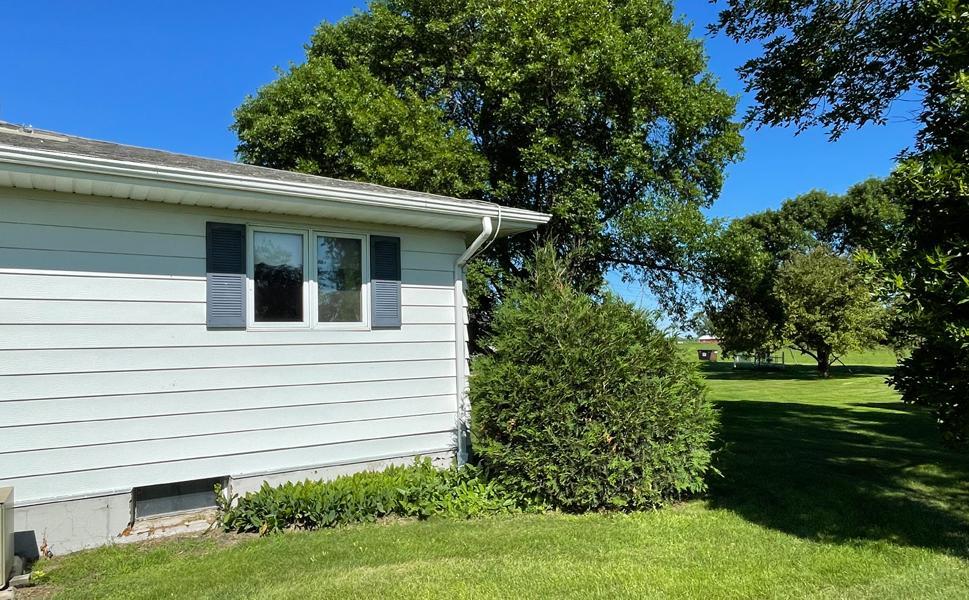 49 Backyard2.jpg