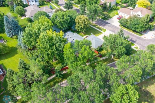 DJI_0130.jpg