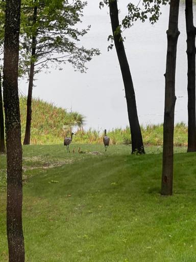 21386 Dorothy Way, Prior Lake, MN 55372