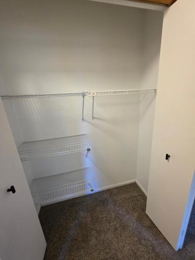 Hallway Closet Has New Carpet Paint & Shelving