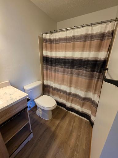 New Vanity, Toilet, Flooring Paint, Lighting & Hardware