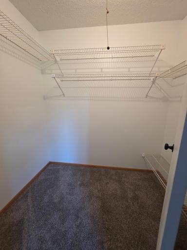 Master Bedroom Has A Walk In Closet All New Paint, Carpet & Shelving