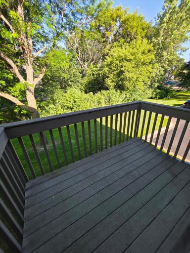 Perfect Spot To Relax With Trees All Around The Back