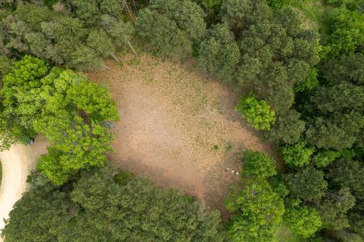 DJI_0880.jpg