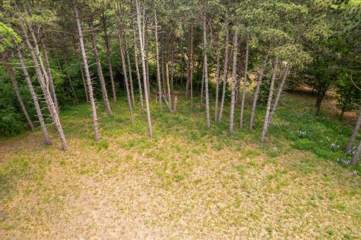 DJI_0879.jpg