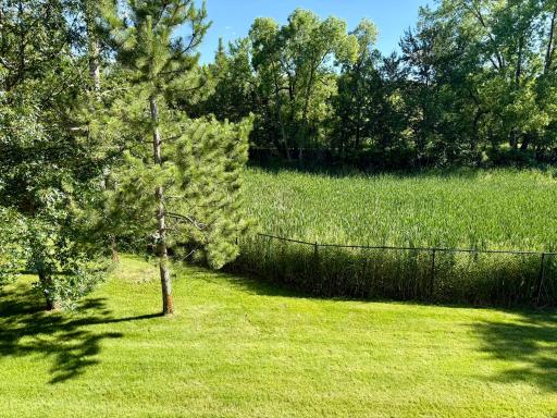 You'll never have neighbors in your backyard!
