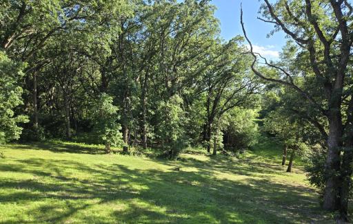 21200 5th Street NW, New London, MN 56273