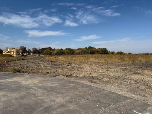 24x1 Holy Name Drive, Medina, MN 55340
