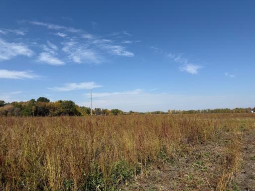 24x1 Holy Name Drive, Medina, MN 55340