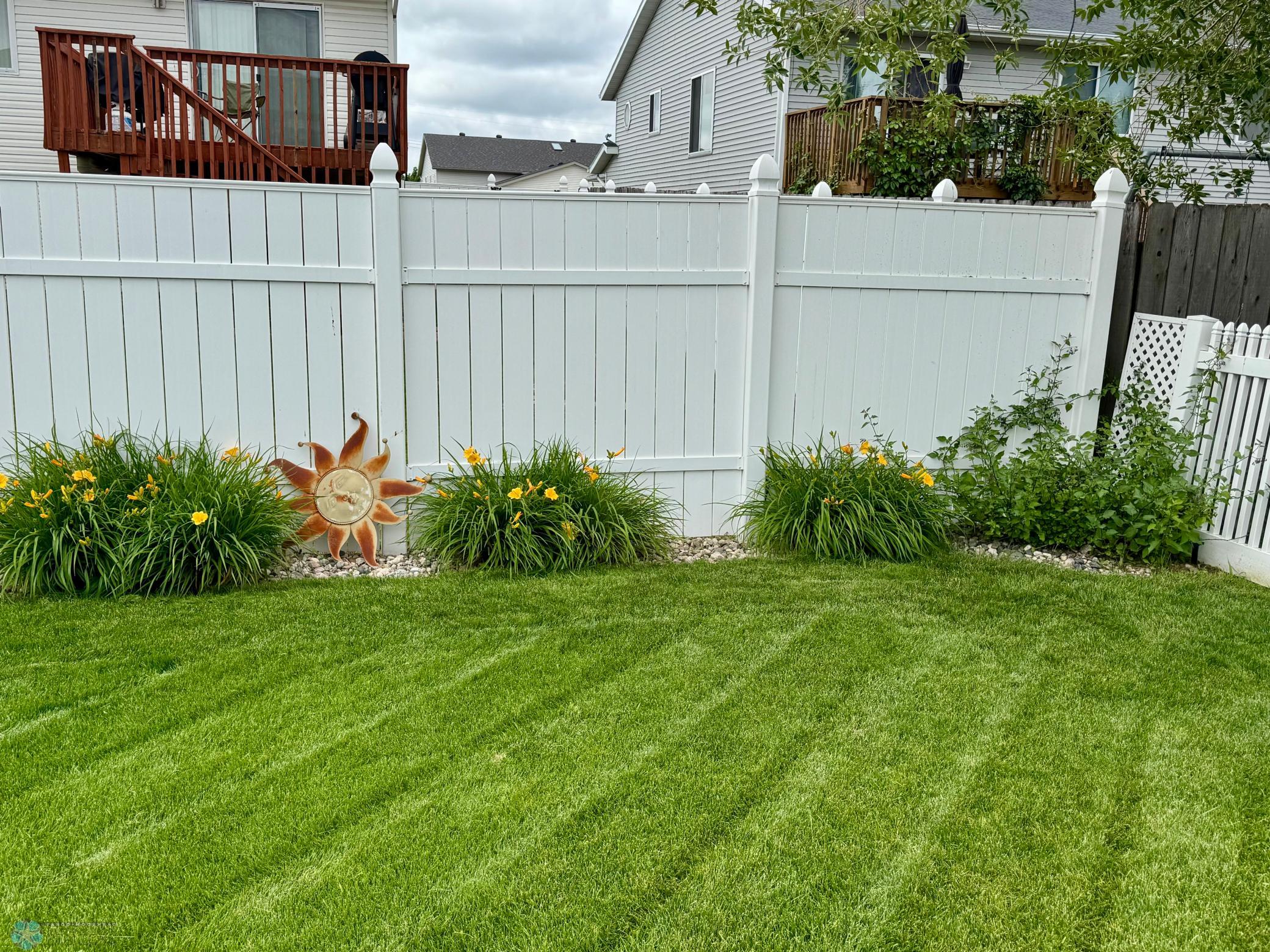Fenced Backyard
