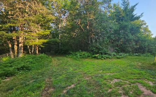 Lot 4 Ken Dorsey Drive, Danbury, WI 54830