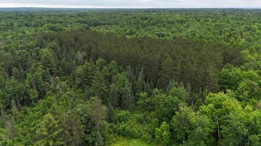 11097 S Pierce Road, Solon Springs, WI 54873
