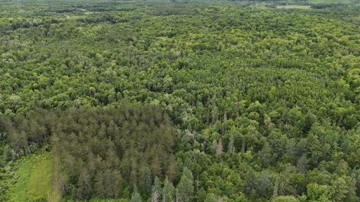 11097 S Pierce Road, Solon Springs, WI 54873