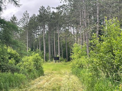 11097 S Pierce Road, Solon Springs, WI 54873