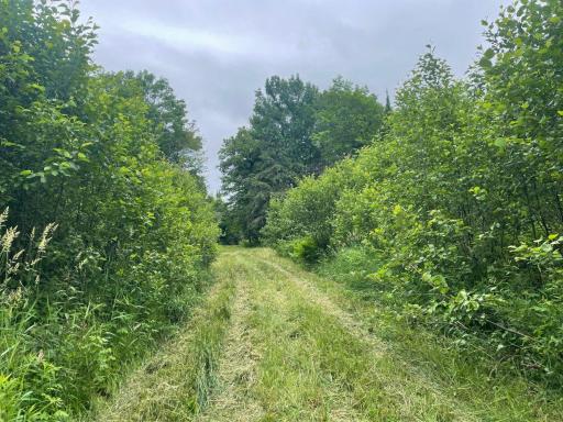 11097 S Pierce Road, Solon Springs, WI 54873